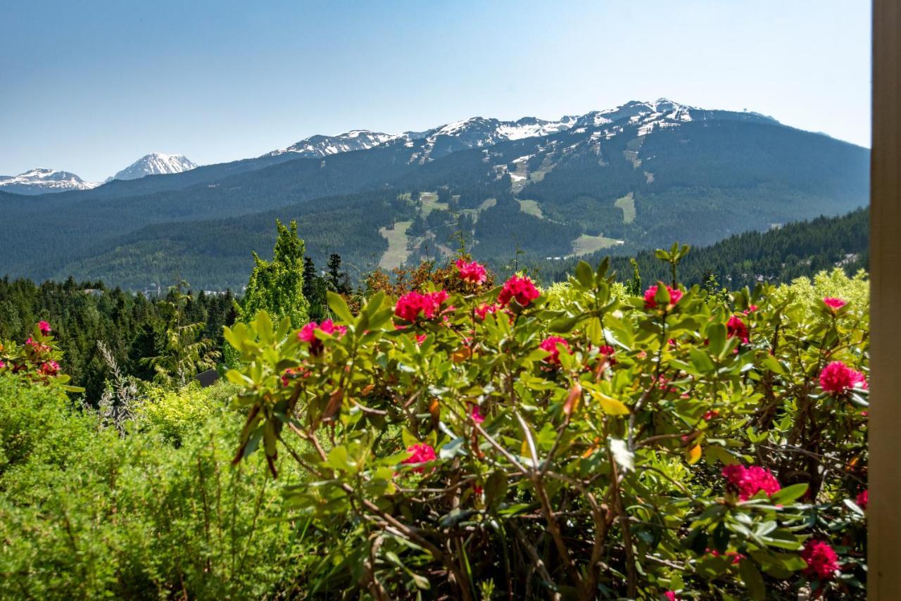 Ferienwohnung The Ironwood On Blueberry Hill Whistler Exterior foto